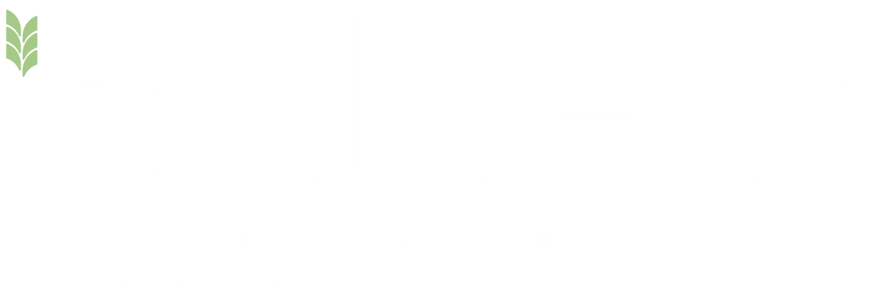 Blhair: Color-Blended Braiding Hair