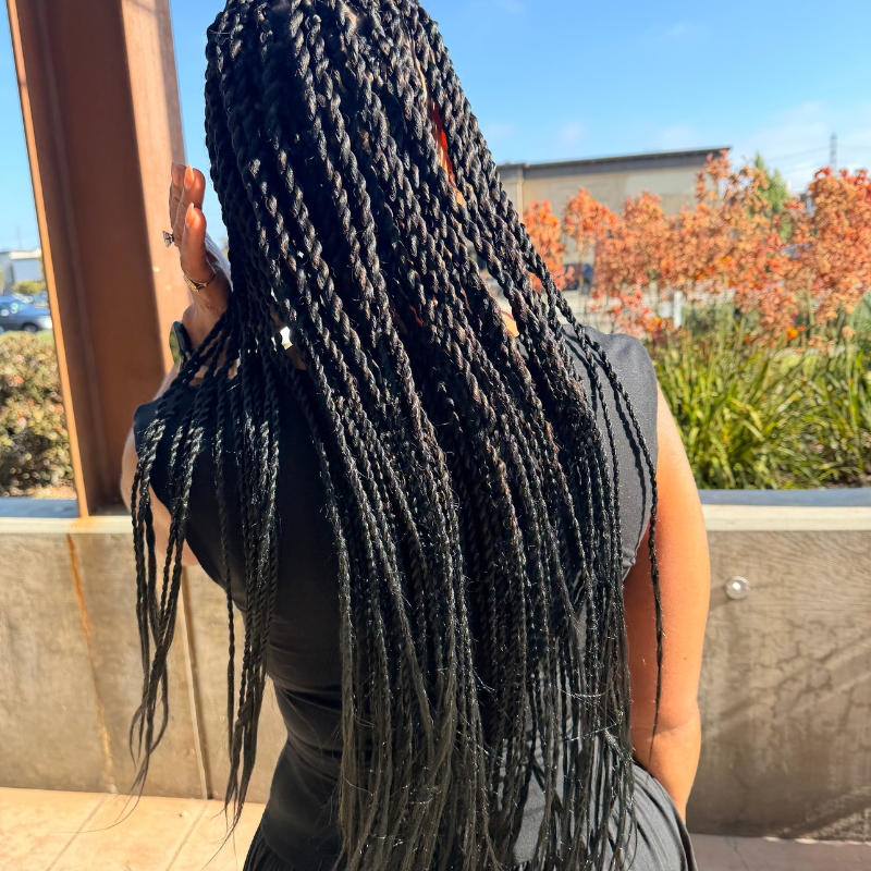 Back view of long Blhair™ Onyx Noir twists in sunlight, showing length, texture, and natural dimension.