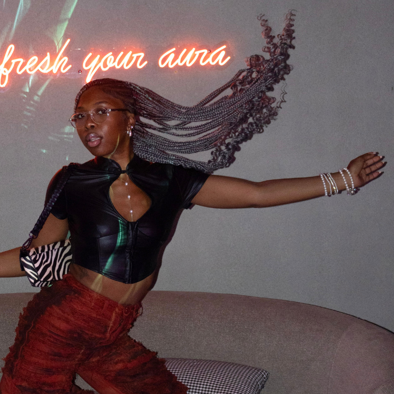 Model wearing Blhair™ Smoked Silver braids with cool gray tones and soft dimensional protective hairstyle.
