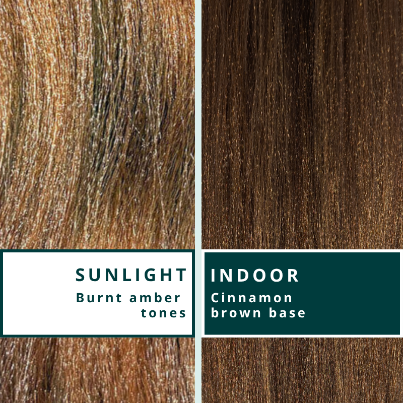 Blhair™ Amber Glow braid hair shown in sunlight and indoor lighting to compare burnt amber tones and cinnamon brown depth.