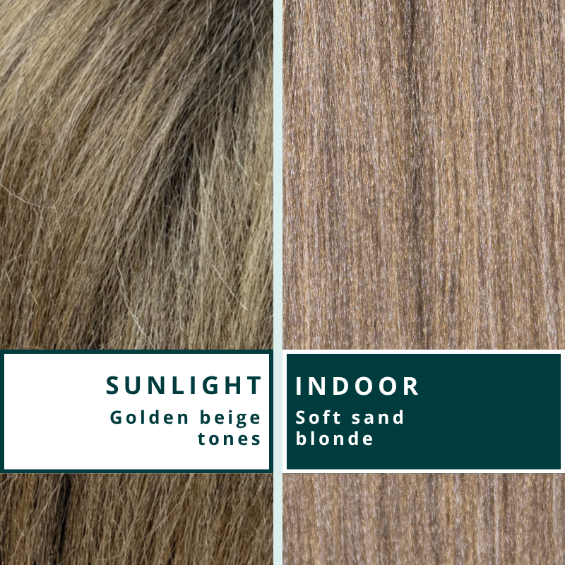 Blhair™ Honey Haze braid hair shown in sunlight and indoor lighting to compare golden beige tones and soft sand blonde depth.